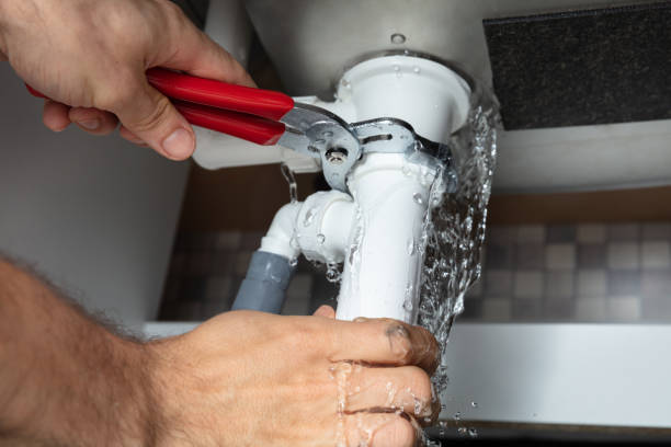 Best Flooded house restoration  in Douglas, MI