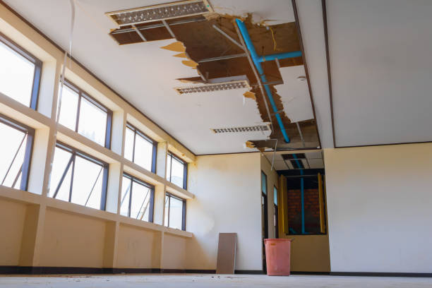 Best Fire Damage Restoration  in Douglas, MI