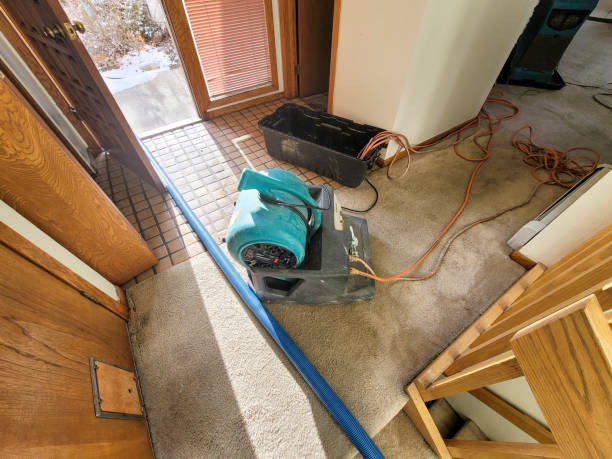 Best Water damage restoration near me  in Douglas, MI