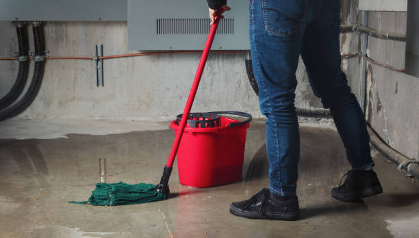  Douglas, MI Water damage restoration Pros