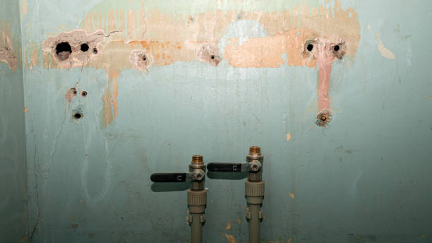 Best Professional water damage repair  in Douglas, MI